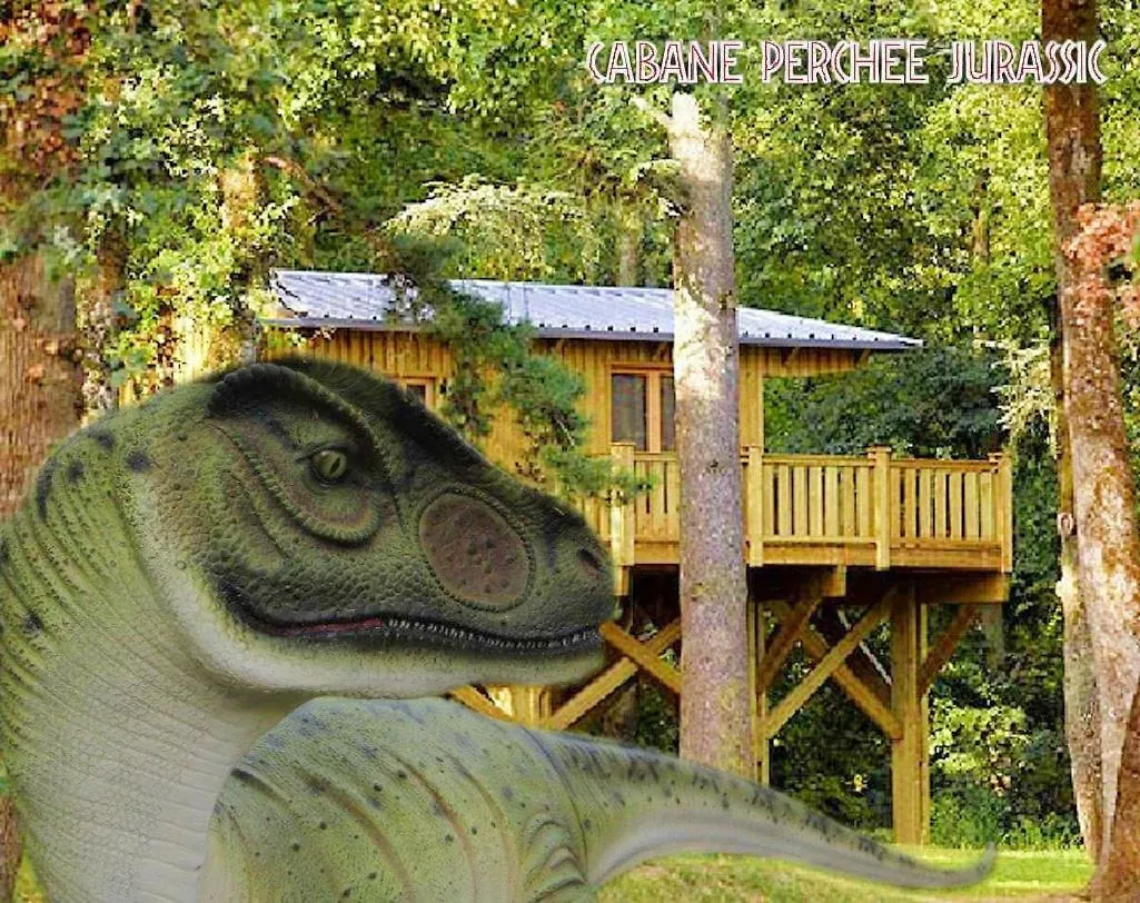 Cabane Perchee Jurassic Piscine, Spa Et Hammam Proche Des Gorges De L'Aveyron Lavaurette
